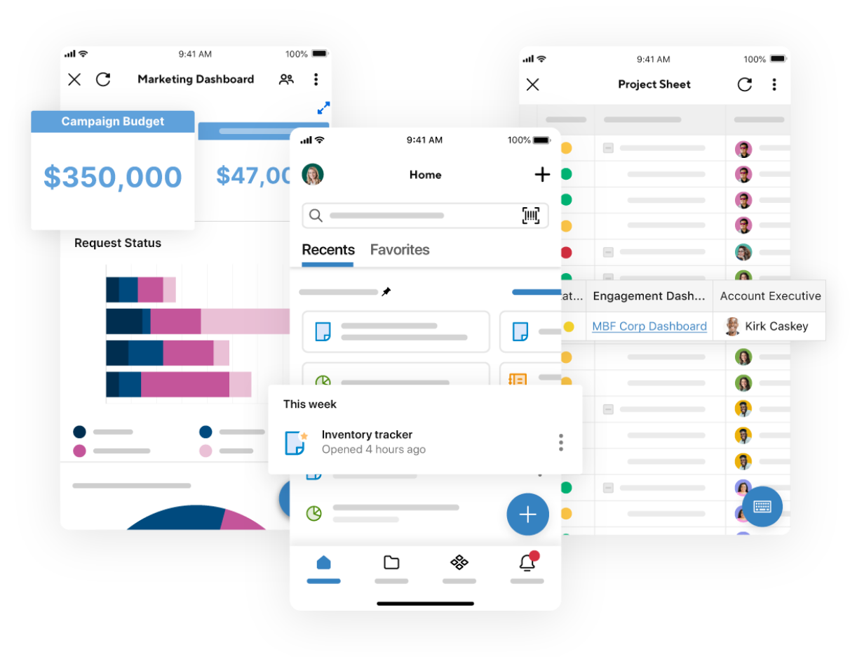 Smartsheet Consultants - Cheetah Transformation Smartsheet Platinum Partners