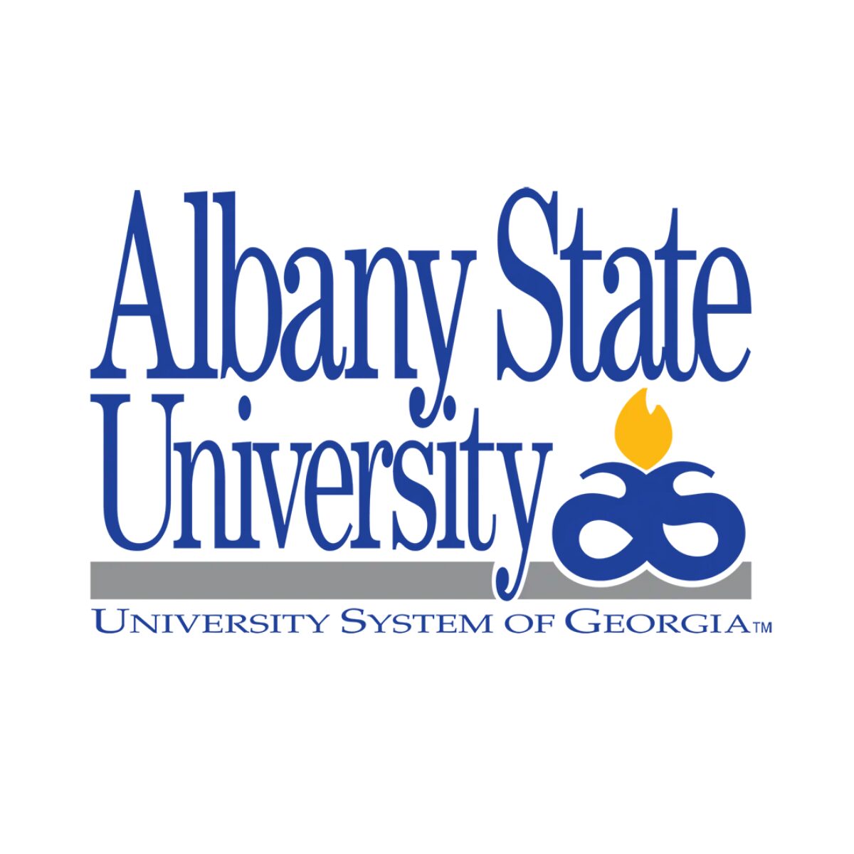Albany State University 300x300 1