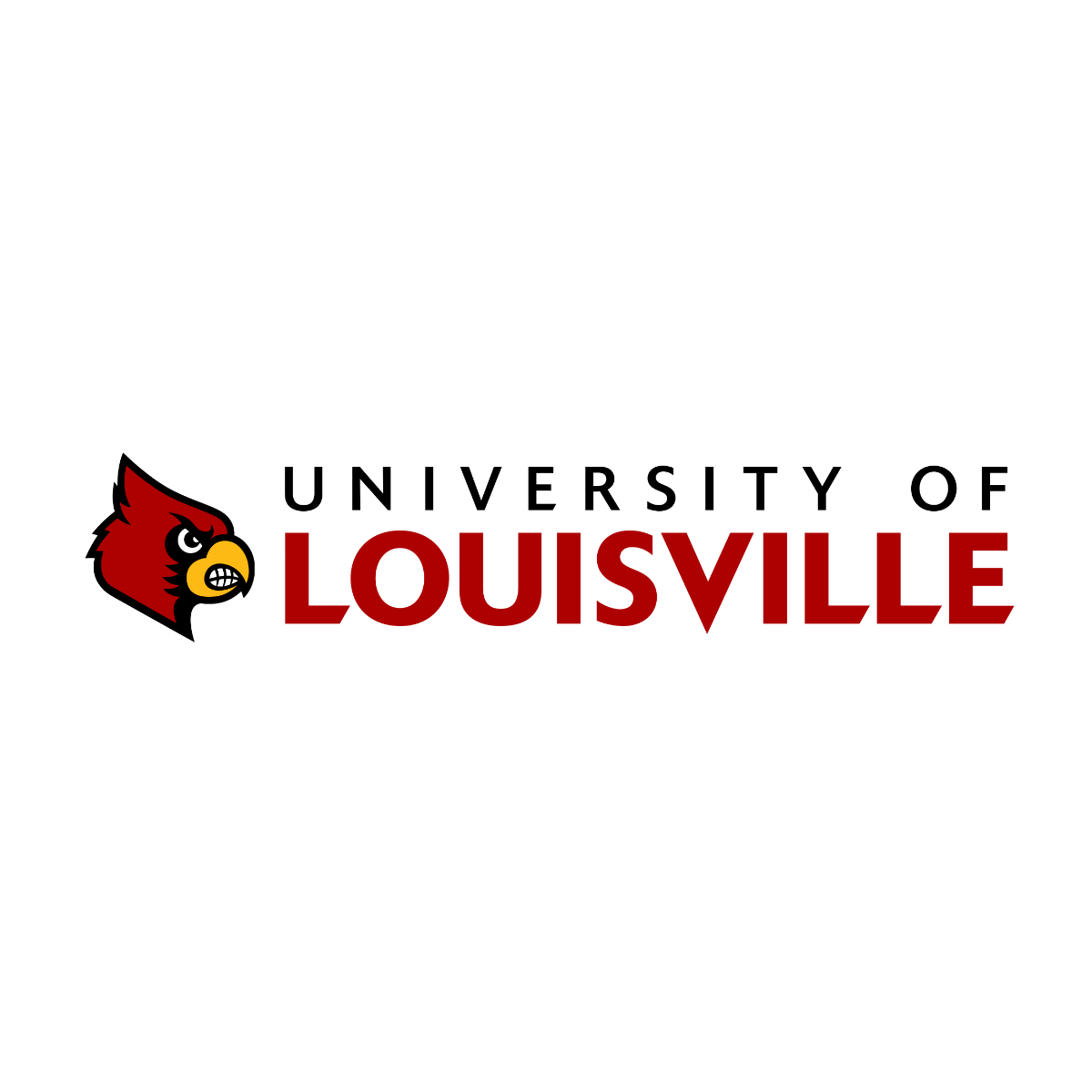 University of Louisville 300x300 1