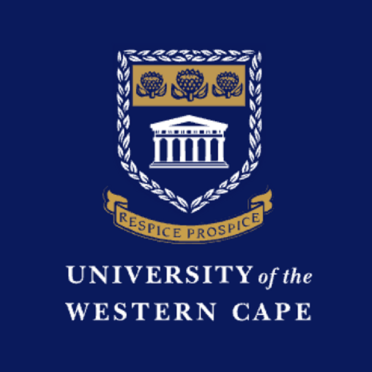 University of the Western Cape 300x300 1